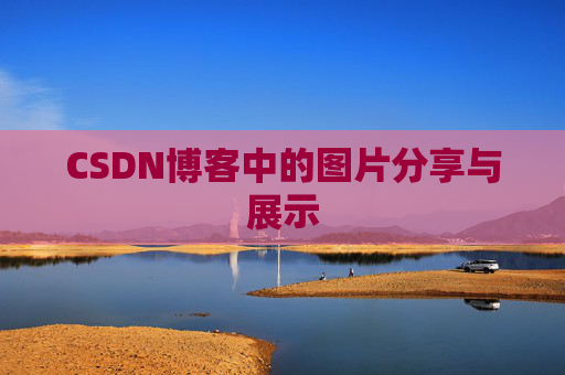 CSDN博客中的图片分享与展示